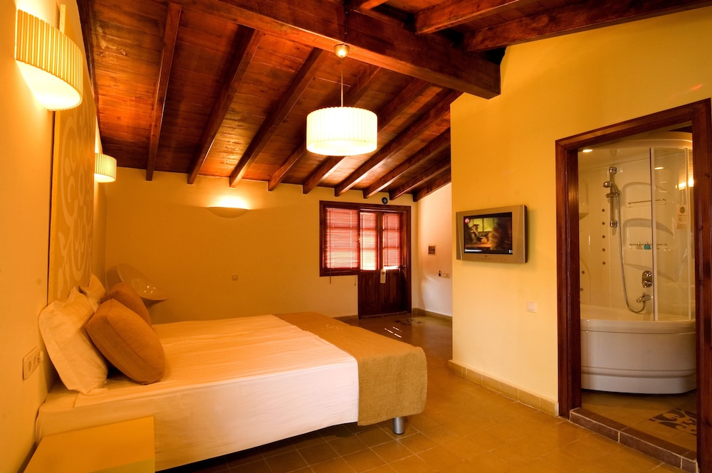 Alp Pasa Hotel - Special Class - 3