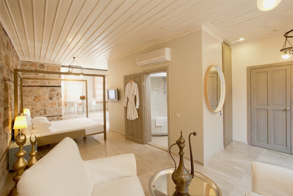 Alp Pasa Hotel - Special Class - 4