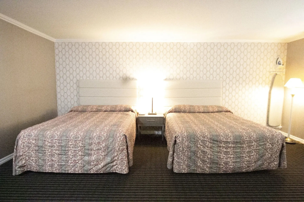 Alpha Inn & Suites - 3