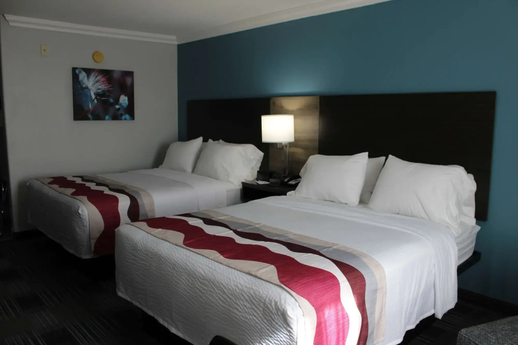 Best Western Medical Center North Inn & Suites Near Six Flags - 2
