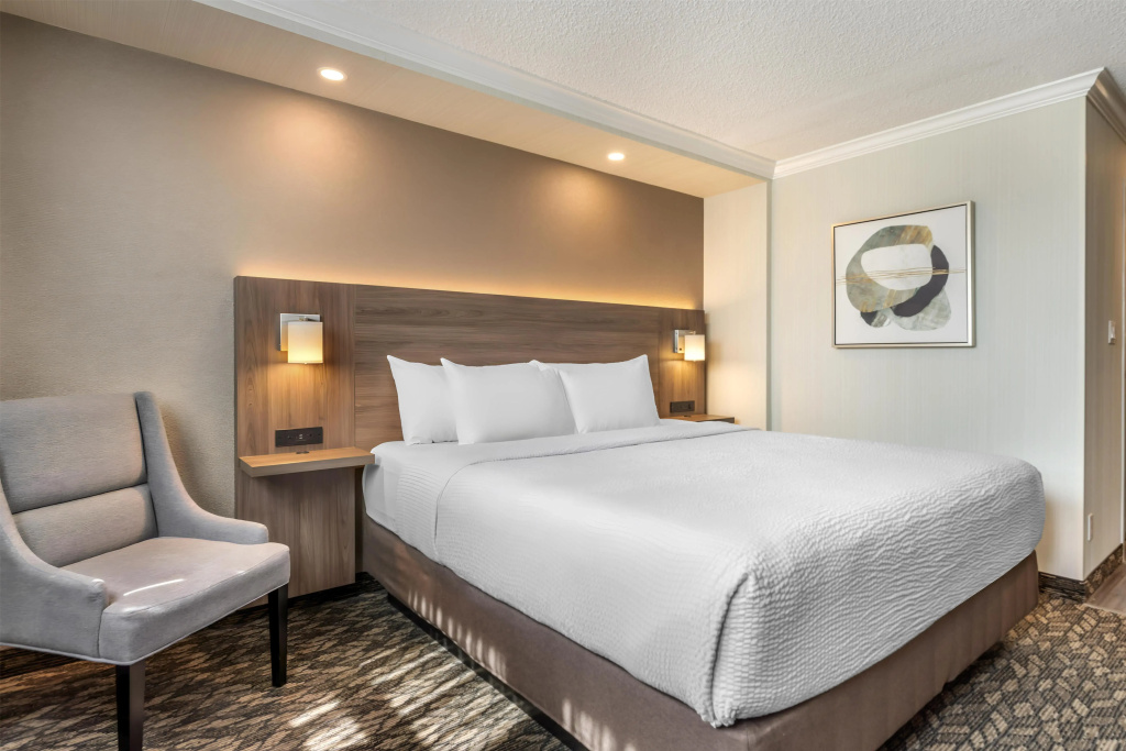 Best Western Plus Carlton Plaza Hotel - 4