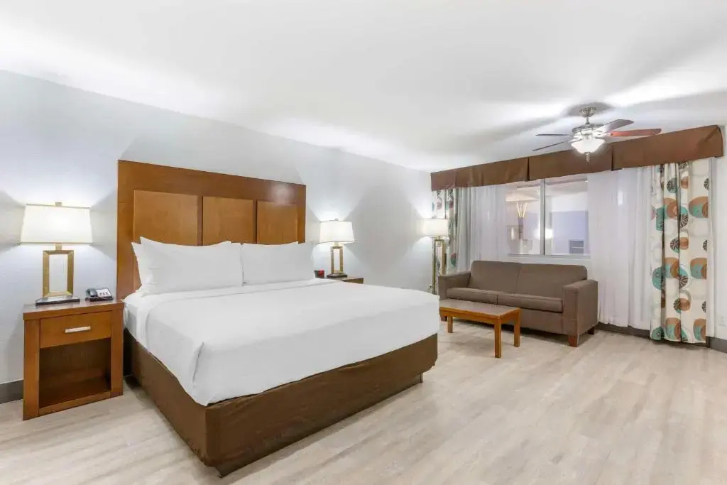 Best Western Plus El Paso Airport Hotel & Conference Center - 3