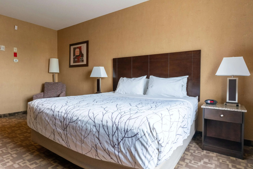 Best Western Plus South Edmonton Inn & Suites - 3