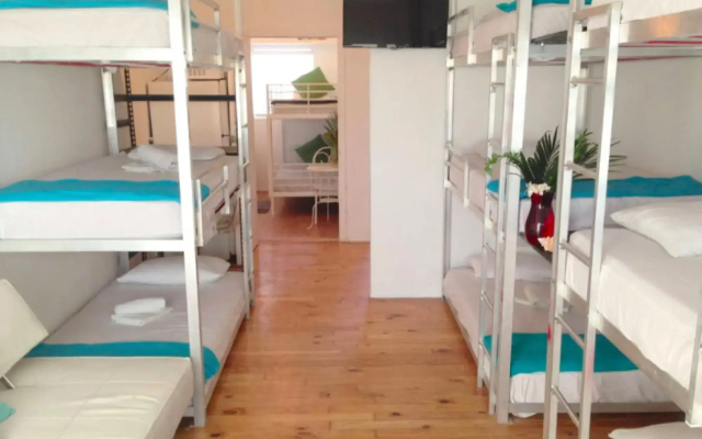 Bikini Hostel, Café & Beer Garden Free Breakfast & Dinner! - 3