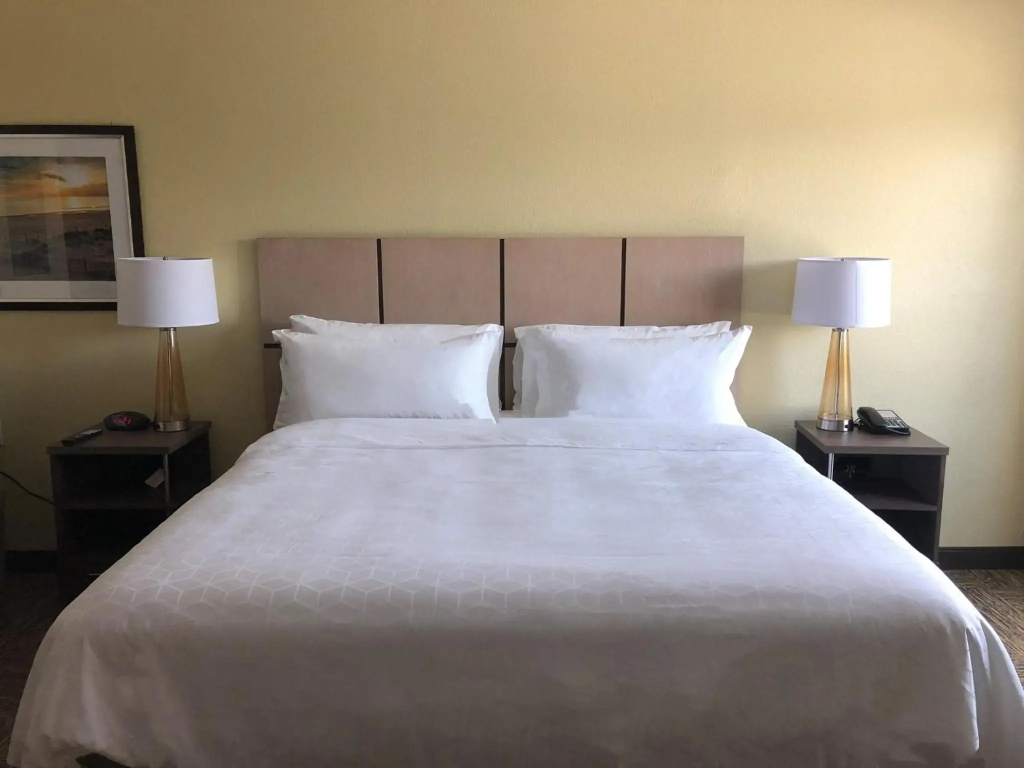 Candlewood Suites Panama City Beach Pier by IHG - 3
