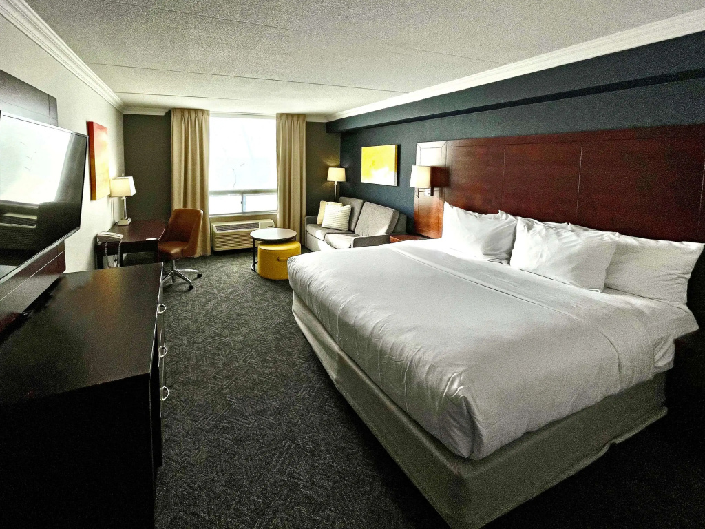 Comfort Inn & Conference Centre Toronto Airport - 4