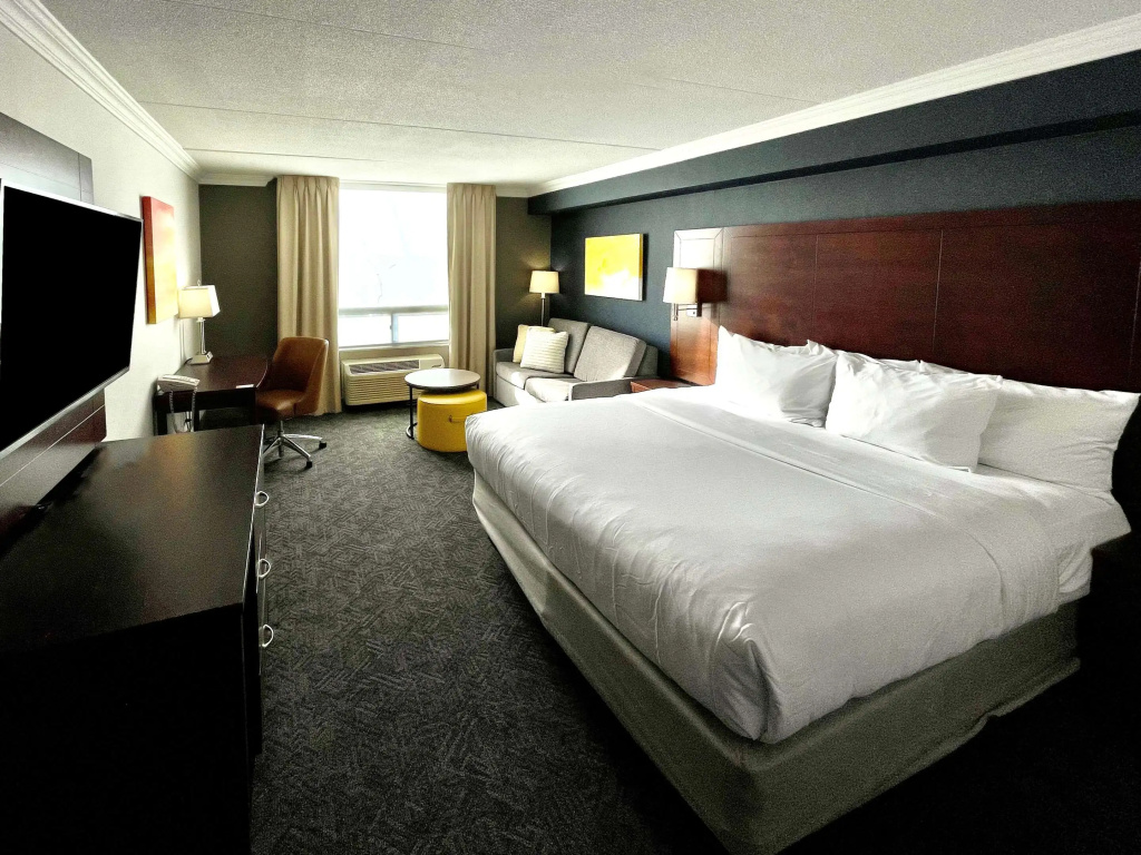 Comfort Inn & Conference Centre Toronto Airport - 5