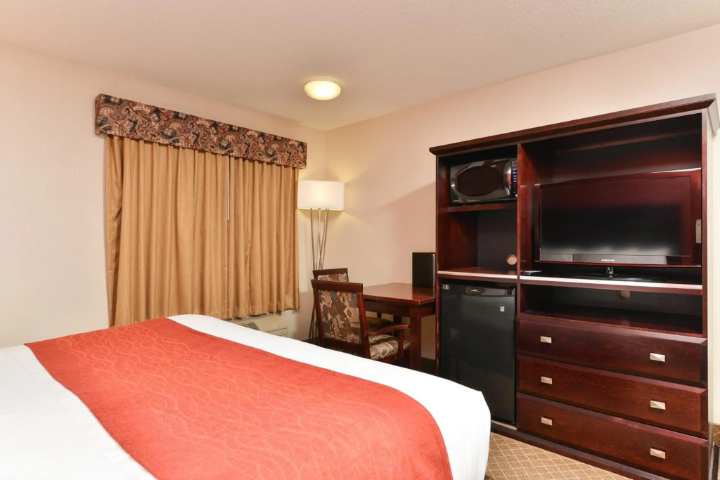 Comfort Inn & Suites Airport South - 2