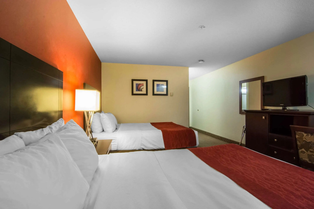 Comfort Inn & Suites Airport South - 3