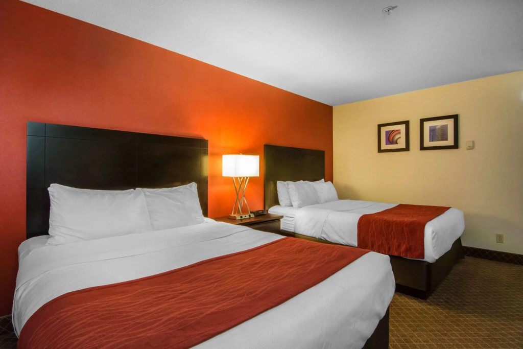 Comfort Inn & Suites Airport South - 4