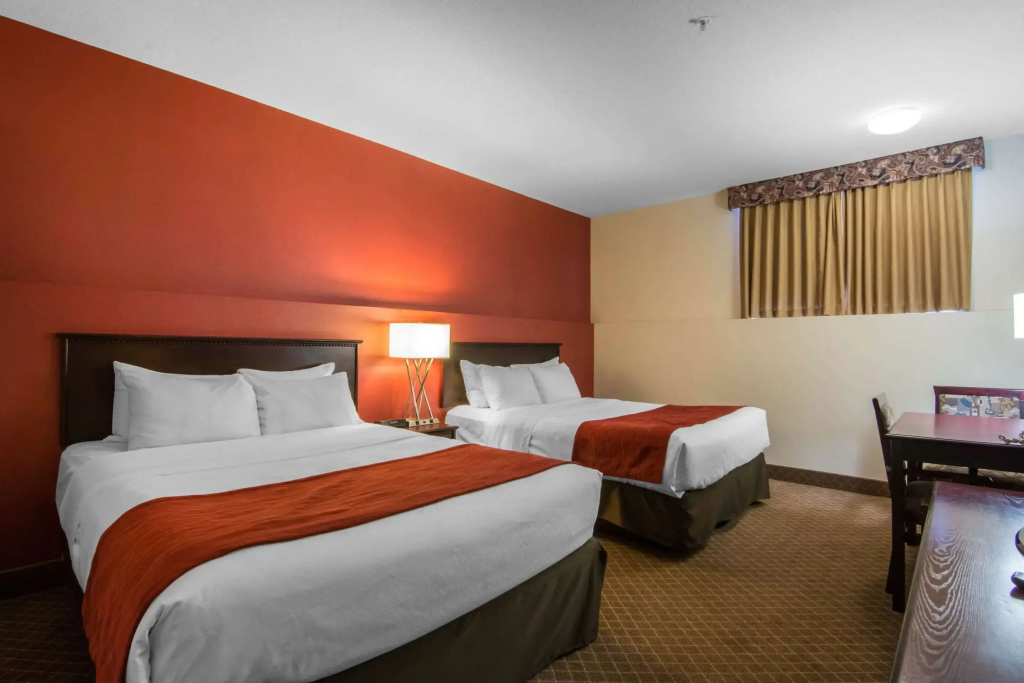 Comfort Inn & Suites Airport South - 5