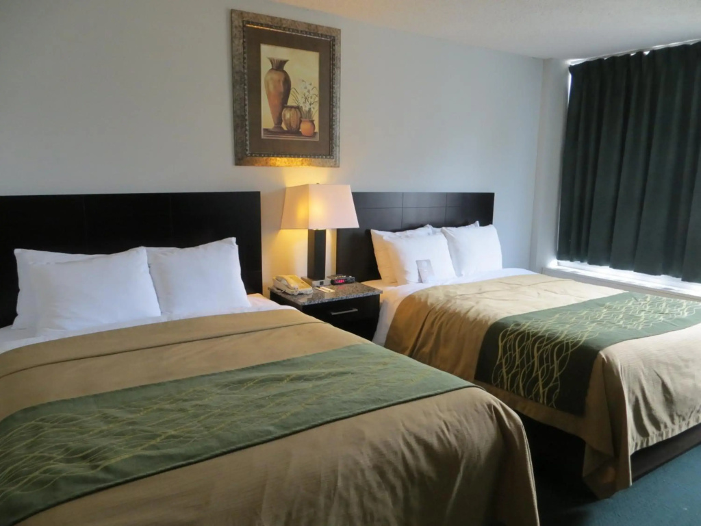 Comfort Inn & Suites Downtown Edmonton - 3