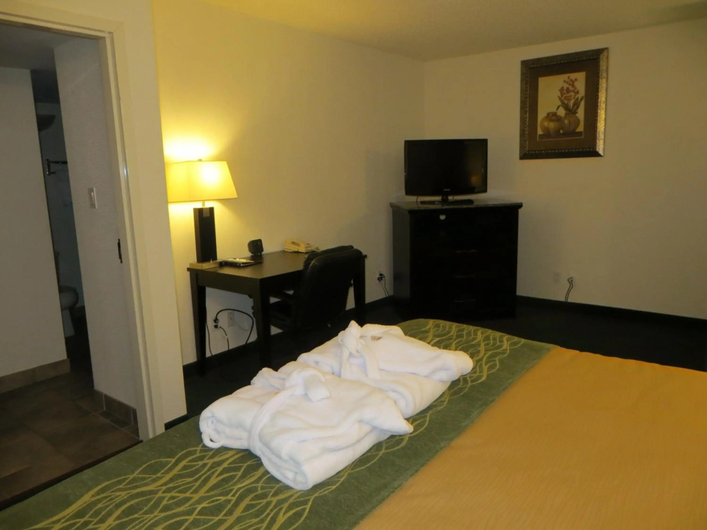 Comfort Inn & Suites Downtown Edmonton - 4