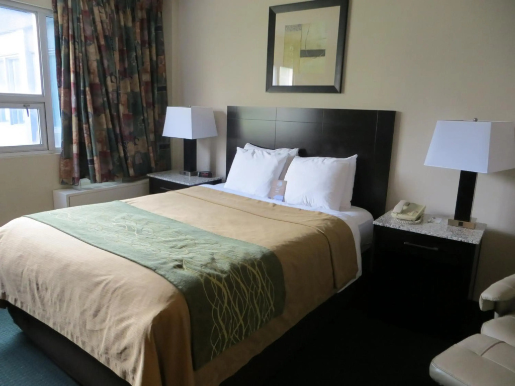 Comfort Inn & Suites Downtown Edmonton - 5