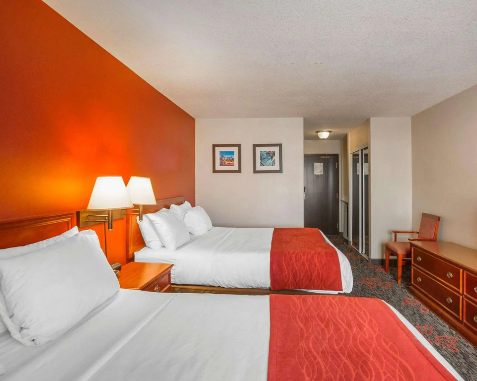 Comfort Inn & Suites University - 2