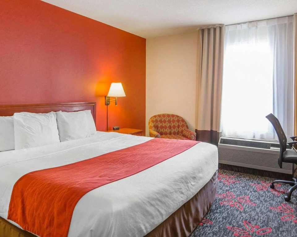Comfort Inn & Suites University - 3
