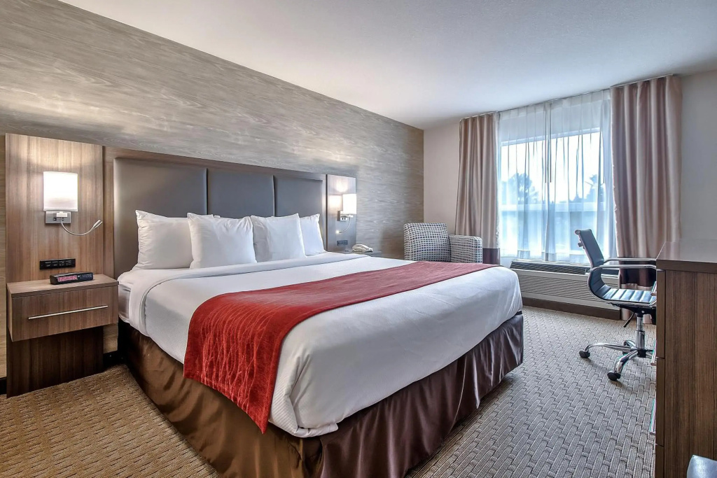 Comfort Inn And Suites South - 3