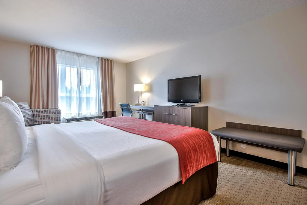 Comfort Inn And Suites South - 4
