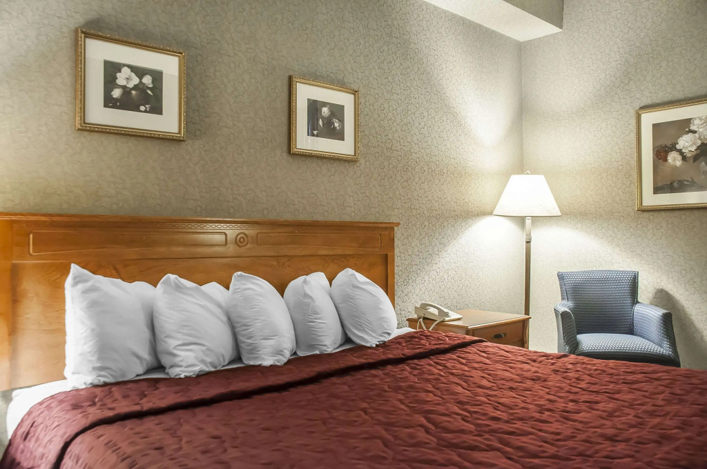 Comfort Inn Lundys Lane - 3