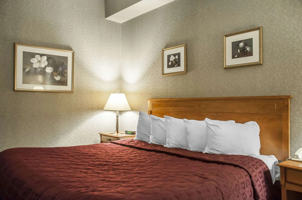 Comfort Inn Lundys Lane - 4
