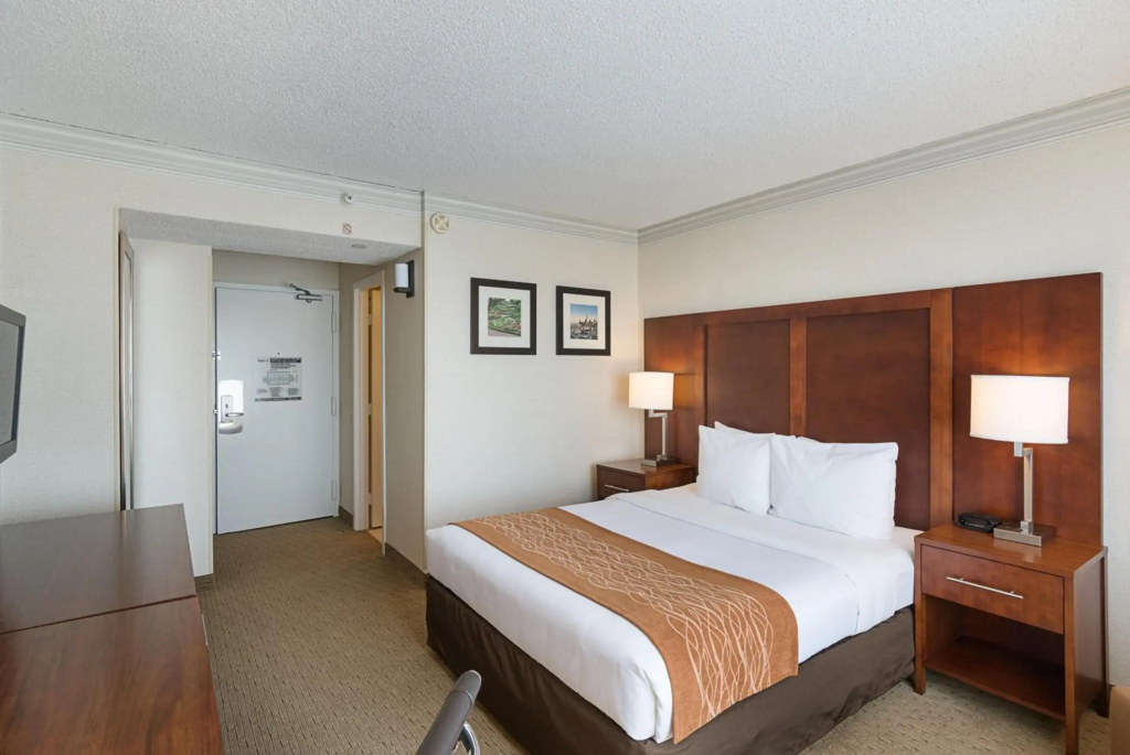 Comfort Inn by the Bay - 3