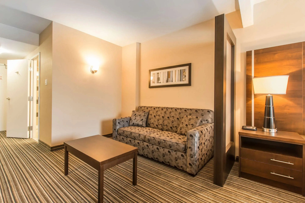 Comfort Suites Downtown - 3