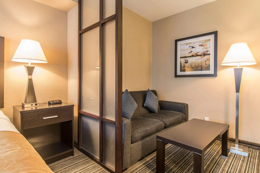 Comfort Suites Downtown - 4