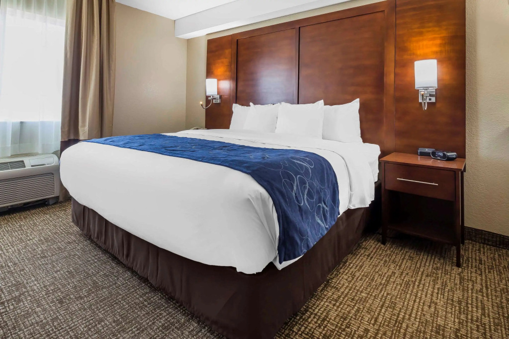 Comfort Suites El Paso Airport - 3