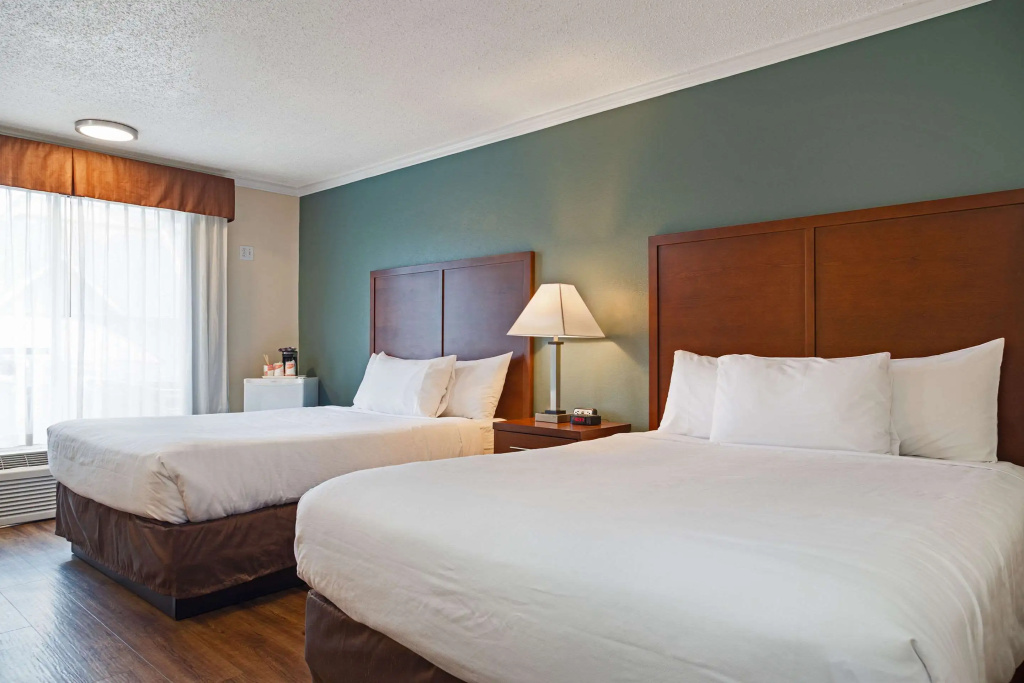 Econo Lodge Inn & Suites - 3