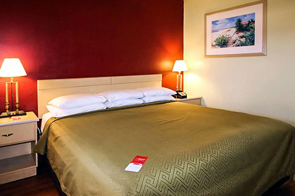 Econo Lodge Inn & Suites Maingate Central - 3