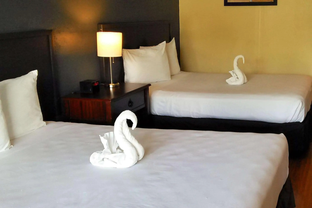 Econo Lodge Ormond Beach North - Daytona - 4