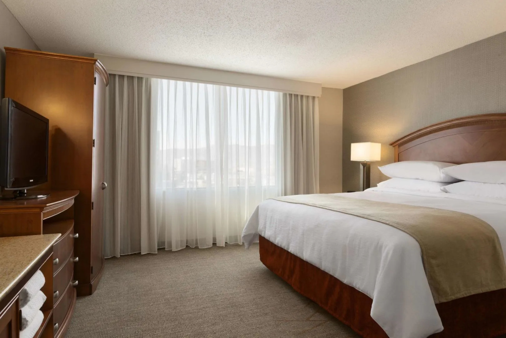 Embassy Suites by Hilton El Paso - 3