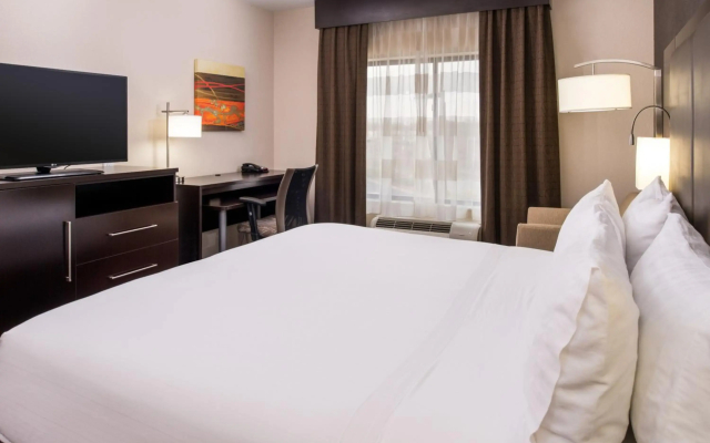 Ewan Ajman Suites Hotel - 4
