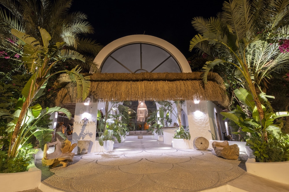 Flamingo Hotel & Spa - Pet Friendly - 3