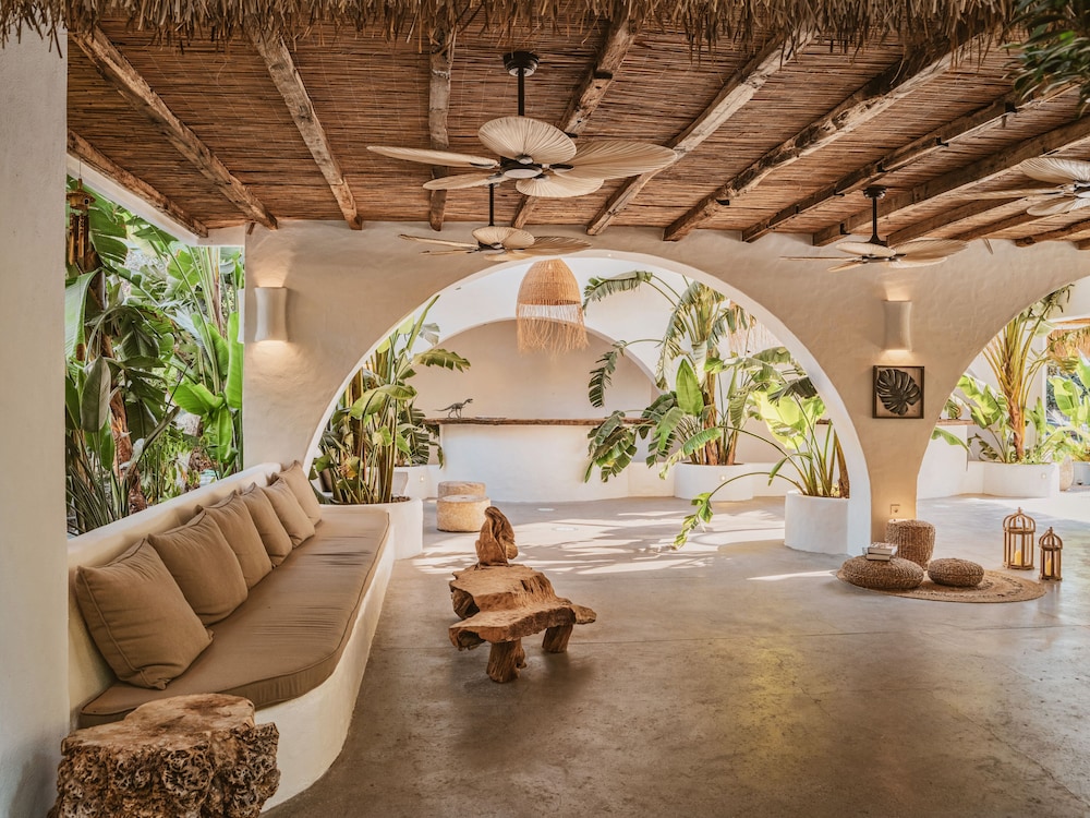 Flamingo Hotel & Spa - Pet Friendly - 4
