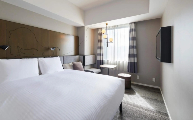 Granbell hotel Tanuki, Sapporo - 2