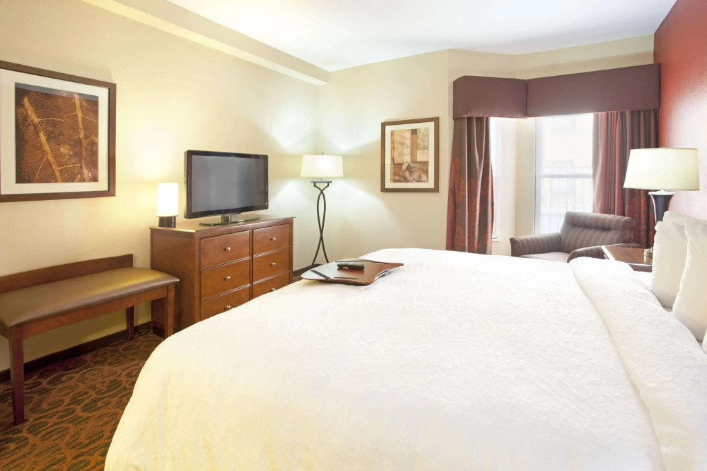 Hampton Inn & Suites El Paso-Airport - 4