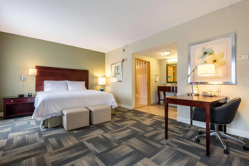 Hampton Inn & Suites Orlando-South Lake Buena Vista - 4