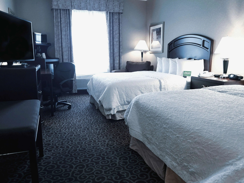 Hampton Inn & Suites by Hilton Edmonton Intl Airport - 4
