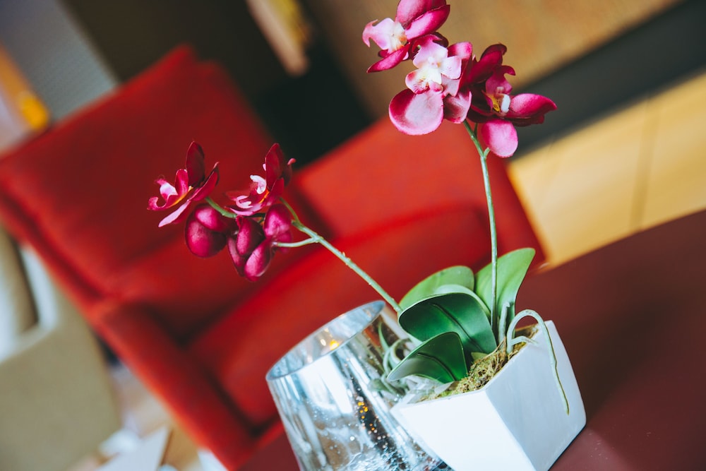 Holiday Inn York City Centre by IHG - 4